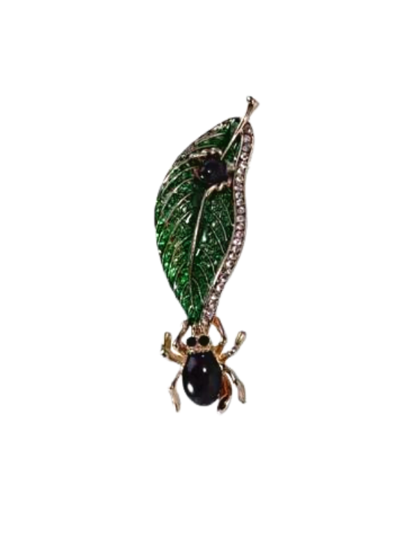 Black Beetle on Leaf